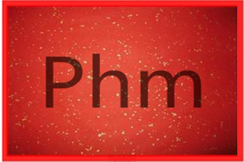 故障預(yù)測(cè)與健康管理（PHM）